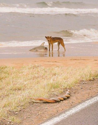 Australia in a picture.